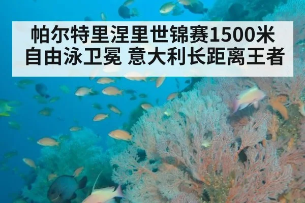 帕尔特里涅里世锦赛1500米自由泳卫冕 意大利长距离王者