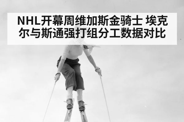NHL开幕周维加斯金骑士 埃克尔与斯通强打组分工数据对比